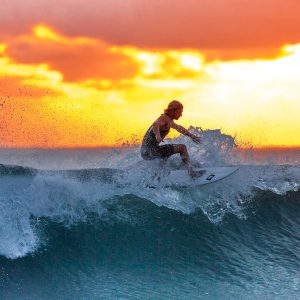 surfer-wave-sunset-the-indian-ocean-390051